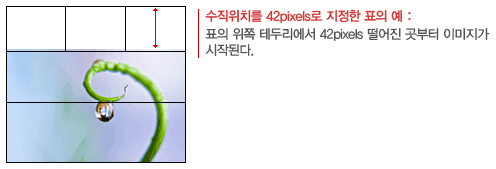 수직위치를 42px로 지정한 표의 예