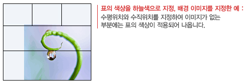 표의 색상을 하늘으로 지정하고, 배경 이미지를 지정한 예